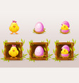 cartoon isolated pink eggs and chicken in square vector image