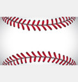 texture of a baseball sport background vector image