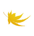 maple autumn leaf vector image vector image