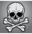 skull and crossbones vector image