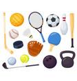 cartoon sports equipment different ball games vector image