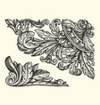 decorative floral design elements ornate swirling vector image