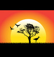 nature and birds on sunset background vector image