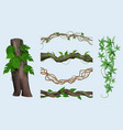 realistic lianas exotic botanical plants twisted vector image