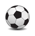 soccer ball on white background vector image