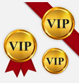 vip members only gold sign label template vector image