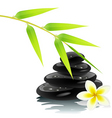 zen ambiance vector image vector image