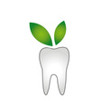 logo for dentist- teeth whitening vector image vector image