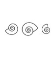 snail shell vector image