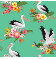 tropical nature seamless pattern with pelicans vector image vector image