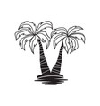 palm trees vector image vector image