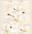floral seamless pattern with flowers vector image vector image