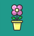indoor plant flower in pot planting vector image vector image