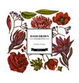 square floral design with colored viburnum vector image vector image