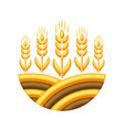 field with ripe wheat ears vector image