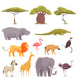 safari flora fauna set vector image