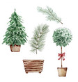watercolor winter set christmas trees vector image