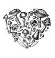 forest mushrooms heart vintage design hand drawn vector image