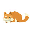 cute cartoon kittie or cat with colored fur vector image vector image