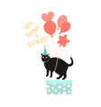 birthday greeting card template with a funny cat vector image vector image