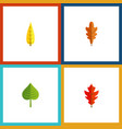 flat icon leaf set of maple hickory linden vector image vector image
