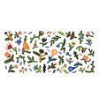 modern abstract flowers set creative floral vector image vector image