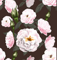 rose seamless pattern vector image