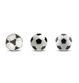 soccer ball set tree realistic vector image vector image