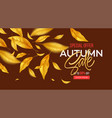 background for autumn season discounts vector image