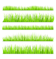 green grass vector image