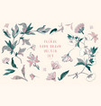hand drawn floral set all objects are grouped vector image