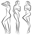 beautiful woman vector image vector image