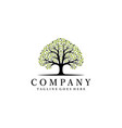 circle tree and root abstract logo design vector image