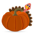 turkey pilgrimin on thanksgiving day vector image vector image