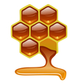 honeycomb with honey vector image