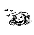 pumpkin composition vector image