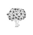 hand drawn plant clipart vector image