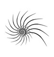 spiral design elements abstract lines black vector image vector image