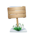 spring wooden sign with white flowers of snowdrops vector image