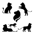lions vector image