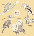 set of hand drawn sketch style exotic birds vector image
