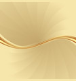abstract background divided into two vector image vector image