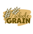 agriculture wheat logo template icon design vector image vector image