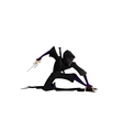 ninja vector image