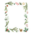 watercolor christmas frame with fir vector image