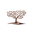 tree and root logo template vector image