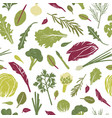 seamless pattern with green plants tasty vector image