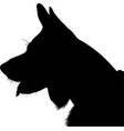 shepherd dog silhouette german vector image vector image