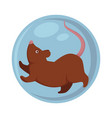 domestic rat with long tail and pink nose in ball vector image