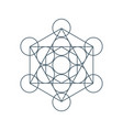 flower of life sacred geometry symbol harmony vector image